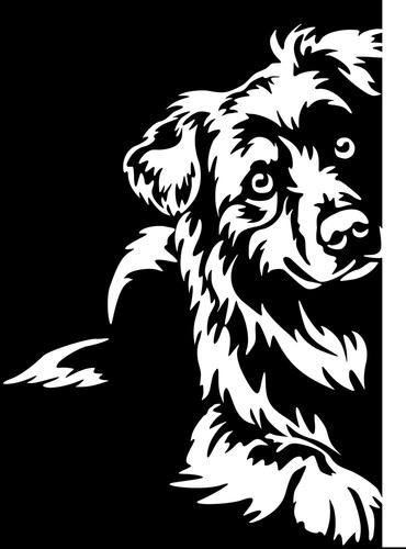 Australian shepherd aufkleber - australian,