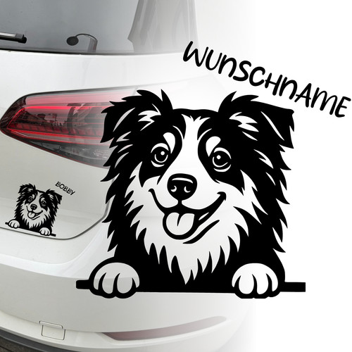 Australian shepherd auto - australian,