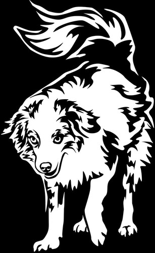 Australian shepherd aufkleber - australian,