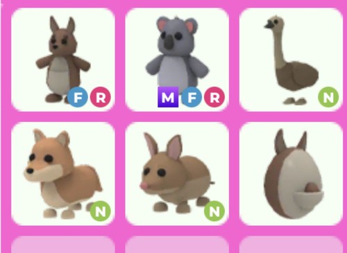 Adopt fly ride kangaroo - adopt,